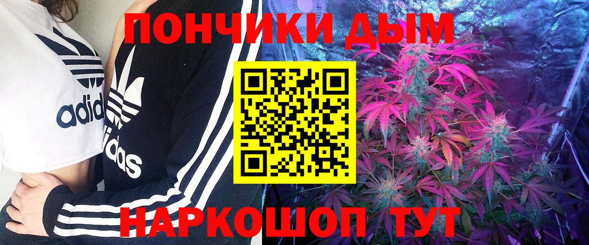 Конопля планчик  Вход с VPN  Шишки марихуана семена  Курганинск  Бошки Шишки THC 21%  Бошки Шишки THC 21% 
